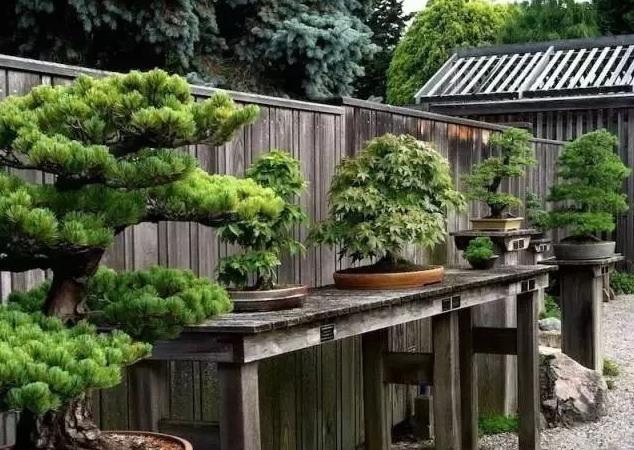 庭院木藝景觀