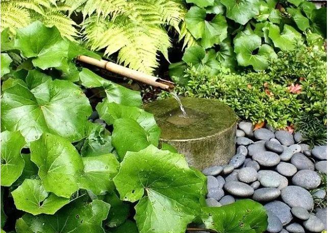 庭院景觀小品