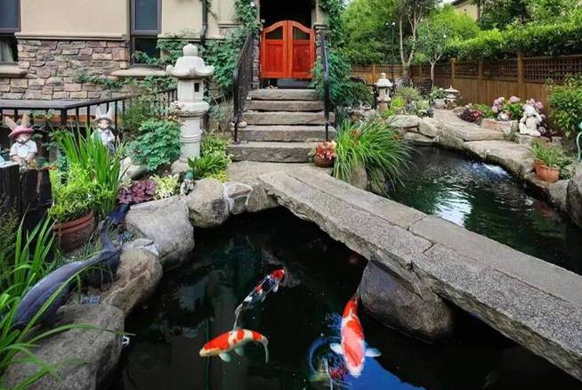 錦鯉魚(yú)池深度