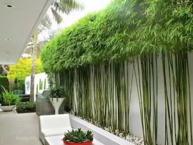 北方別墅庭院一年四季美麗的植物花草 令人驚嘆不已