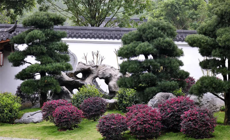 別墅庭院景觀石常用的種類及應(yīng)用方式都有哪些?