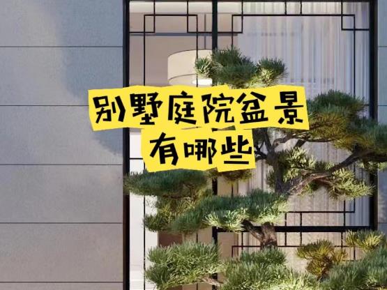 別墅庭院盆景的種類：樁景，觀葉植物，花卉