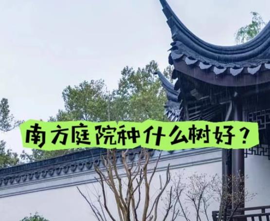 南方庭院適合種植什么樹(shù)?一些常綠、耐陰、喜濕、不怕熱的植物