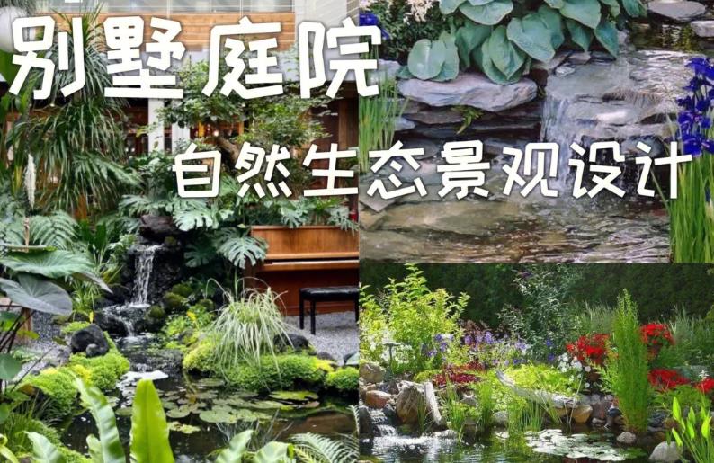 別墅庭院設(shè)計(jì)如何創(chuàng)造出優(yōu)雅別具一格的水景?這五點(diǎn)不可或缺